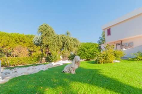 Paradise Beb Giovinazzo Luaran gambar